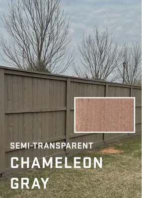 Chameleon Gray